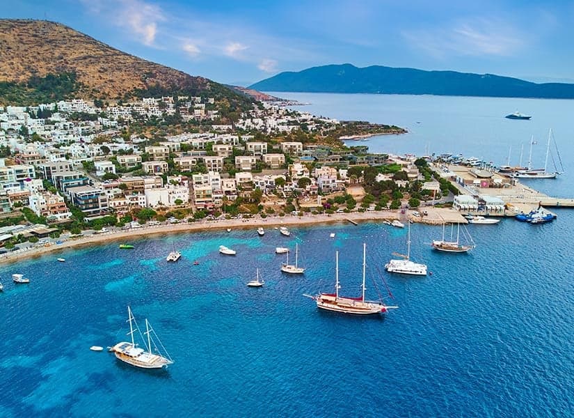 Aydın, İzmir ve Muğla İlçelerinde, En Çok Nereli Var?