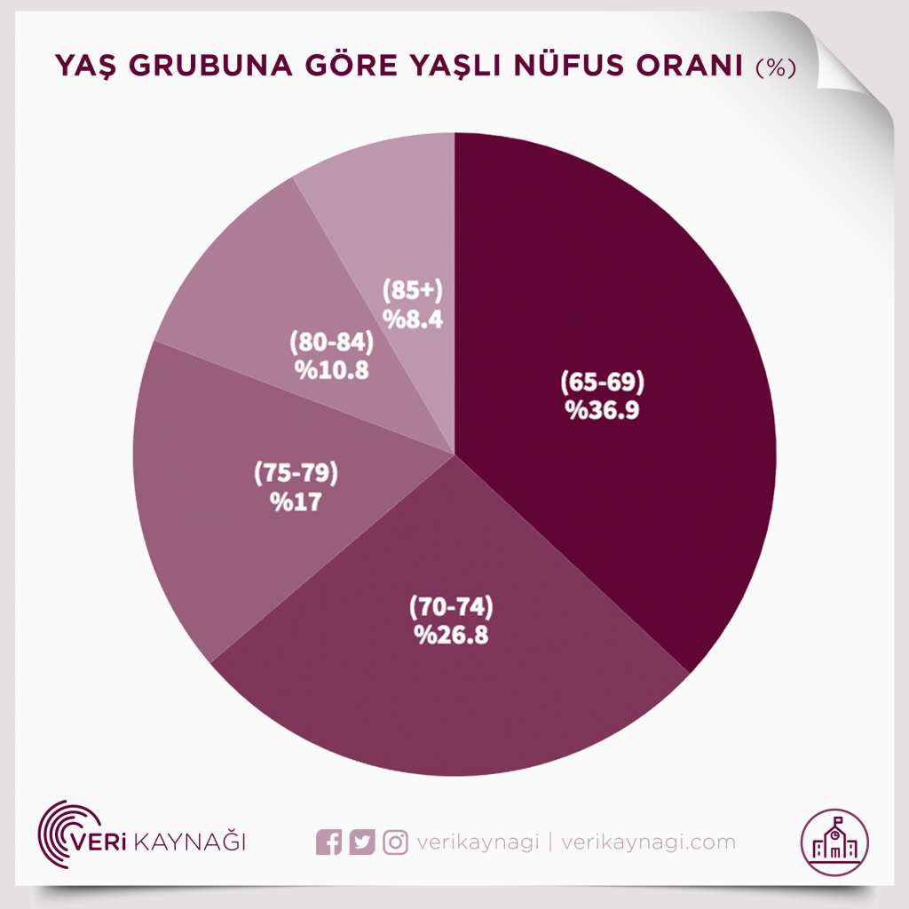 Türkiye'nin Yaşlı Nüfusu | Veri Kaynağı