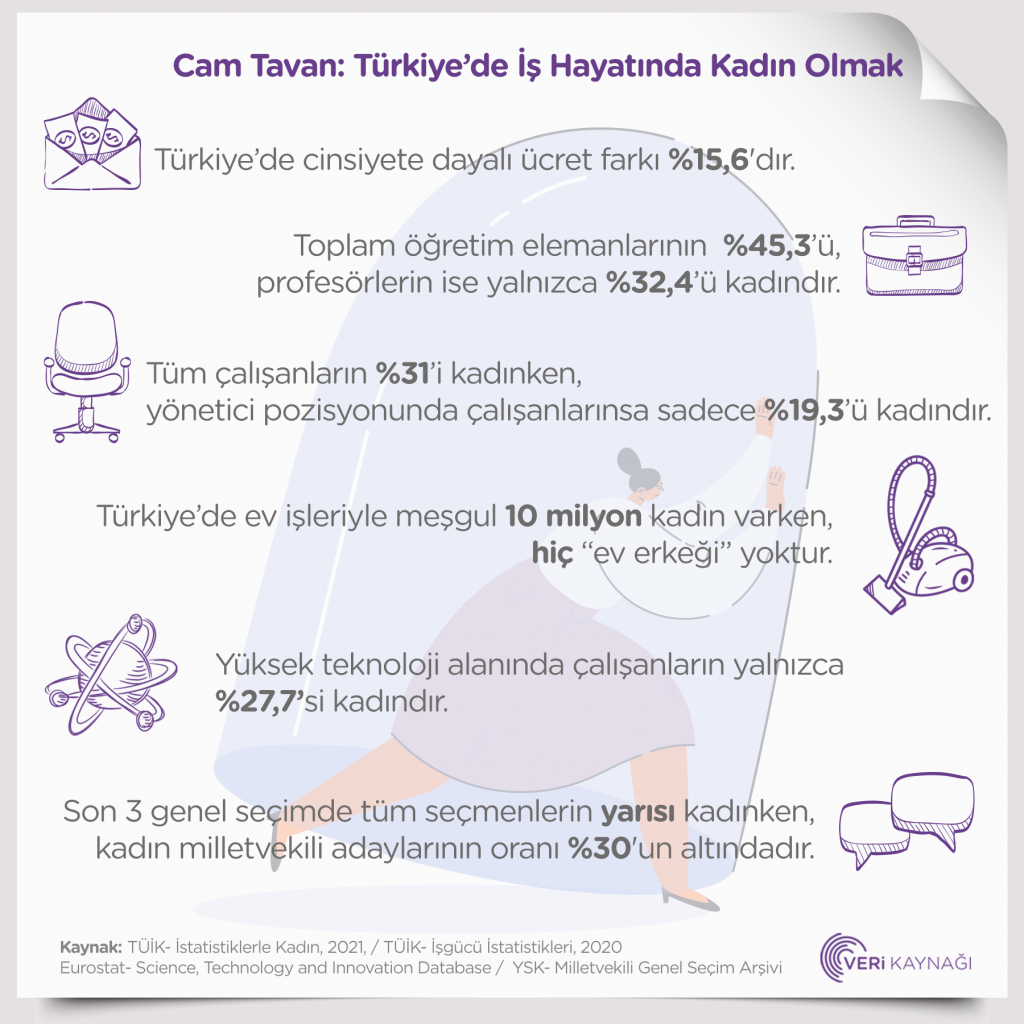 Veri Kaynağı Kadın İstatistikleri